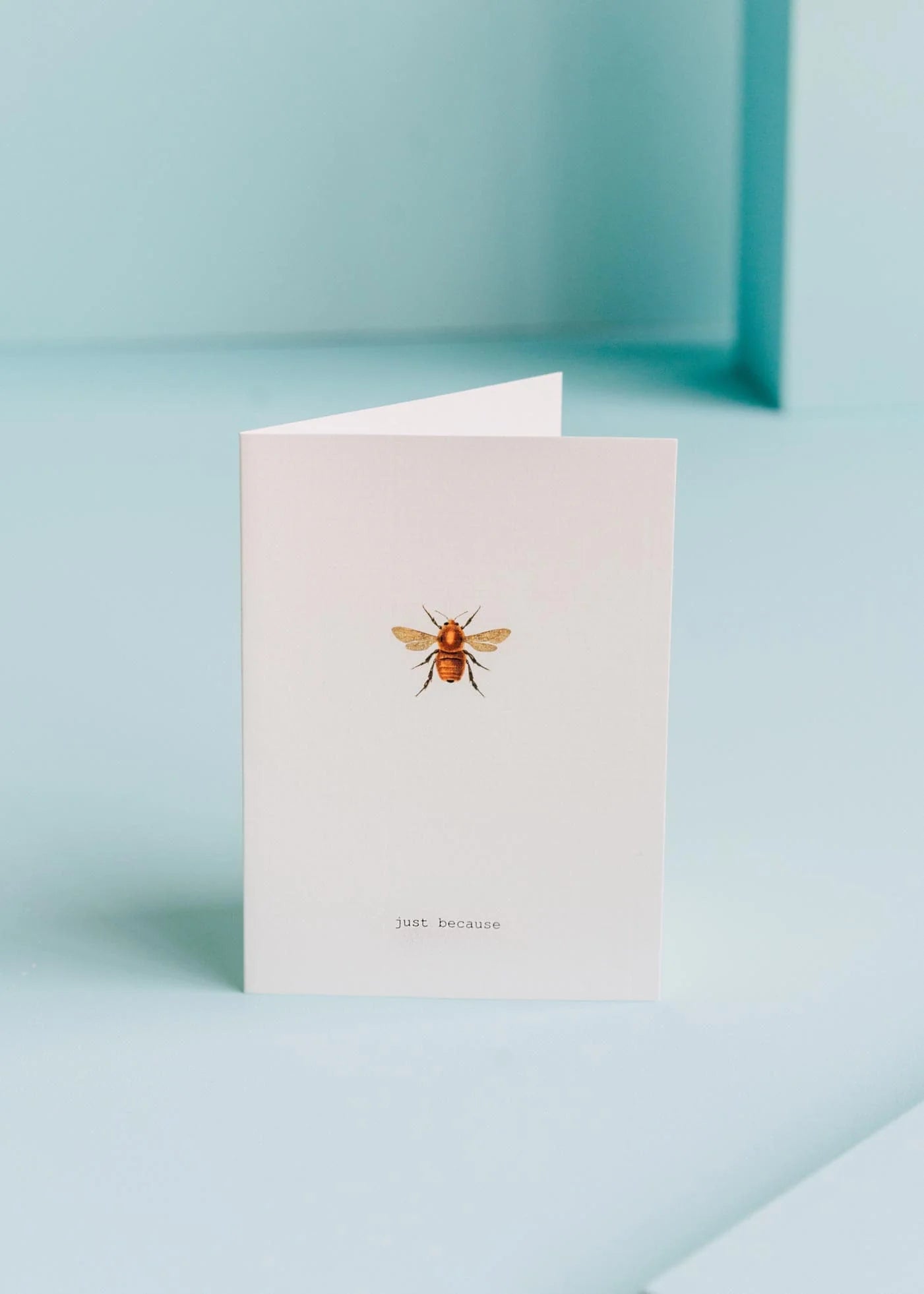 greeting card with a bug illustration that says "just because"