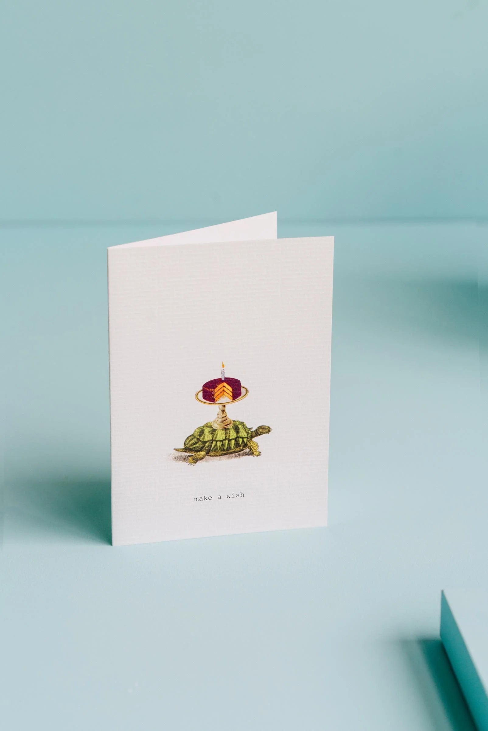 make a wish greeting card with a turtle and cake illustration